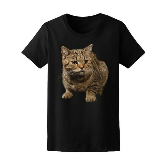 Portrait Of Kitty Cat T-Shirt Women -Image by Shutterstock, Female Medium