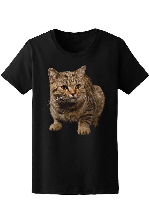 Portrait Of Kitty Cat T-Shirt Women -Image by Shutterstock, Female Medium