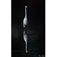 thumbnail image 2 of Drost, David 10x14 Black Ornate Wood Framed with Double Matting Museum Art Print Titled - Elegant Egret I, 2 of 4