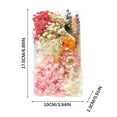 thumbnail image 3 of TERGAYEE Dried Flowers Material Kit DIY Everlasting Flowers Material Making Valentine's Day Gifts, Rich Colors Suitable as Gifts for Women to Express Love, 3 of 5