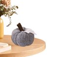thumbnail image 3 of Figura Calabaza Decorativa Tejida WDOplteas Gris, 3 of 9