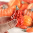 thumbnail image 3 of 24pc Foam Pumpkins and Gourds Set - for Fall Decor - Factory Direct Craft, 3 of 5