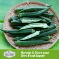 thumbnail image 6 of 3 Packs Clemson Spineless Okra Seeds - Non-GMO Heirloom Full Sun Annual Vegetable, 6 of 6