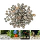 thumbnail image 2 of 100 piezas de decoraciones de concha de caracol, conchas marinas, decoraciones para peceras, reemplazos de concha de cangrejo ermitaño, concha de bricolaje, 2 of 6