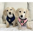 thumbnail image 6 of EcoBark Classic Dog Harness Max Comfort Eco-Friendly No Pull Pet Vest Puppy Harness for Small Large Dogs, 6 of 9