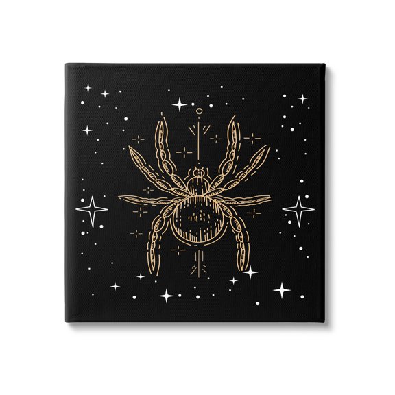 Stupell Industries Starry Halloween Spider Insect Graphic Art Gallery Wrapped Canvas Print Wall Art, Design by Lil' Rue