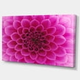 thumbnail image 2 of Dark Pink Abstract Flower Petals - Floral Canvas Art Print, 2 of 3