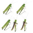 thumbnail image 2 of 10x 5 Piezas de S S de Playset - Juguete Educativo Del - Paquete Perfecto Del Partido Y de La Mordaza, 2 of 8