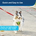 thumbnail image 3 of PetSafe Nylon Dog Leash, Strong, Durable, Easy to Use Bolt Snap, 3/4" x 4', Red, 3 of 6