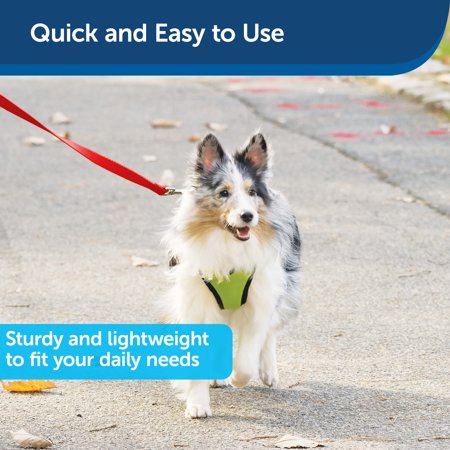 PetSafe（ペットセーフ）犬用リード ナイロンリード レッド 幅1.9cm×長さ120cm