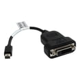 thumbnail image 2 of StarTech.com Mini DisplayPort to DVI Adapter - 1080p - Single Link - Active - Mini DP (Thunderbolt) to DVI Monitor Adapter (MDP2DVIS) - DVI adapter - dual link - Mini DisplayPort (M) to DVI-D (F) - 7.9 in - black, 2 of 6