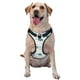 thumbnail image 1 of Balery Sea Turtle Arnés para Perros Grandes Antitirones, Arnés con Correa para Gato, Arnés Tipo Chaleco para Perros Pequeños-X-Large, 1 of 6