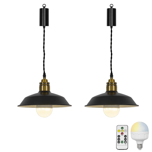 KAYYELAMP 2Pcs Rechargeable Battery Adjusted Height Hanging Light Remote LED Dimmer Timing Bulb Copper Base Black Shade Retro Design for Depot Kitchen Farmhouse