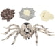 thumbnail image 5 of Modelo de insecto de simulación, modelo de insecto de alta simulación, modelo de insecto, juguete de regalo, modelo de insecto, resultados impresionantes, 5 of 8