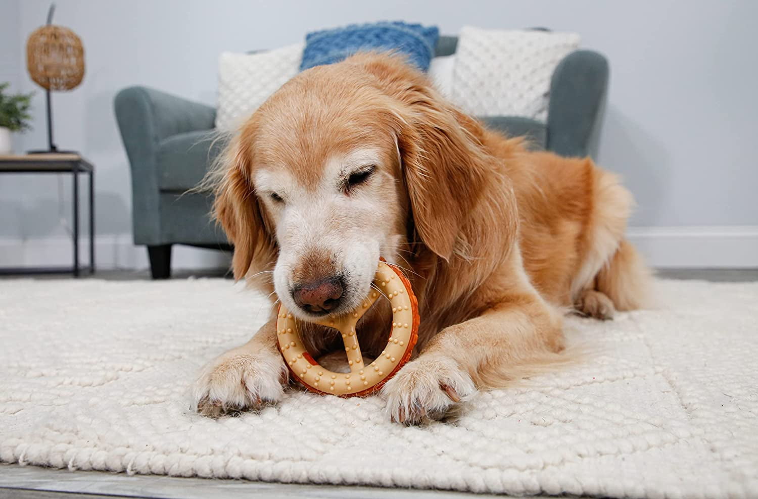 Hartz Chew ‘n Clean Chew Toy and Treat in One Chicken Flavored Ring Dog Toy, Nylon, Medium