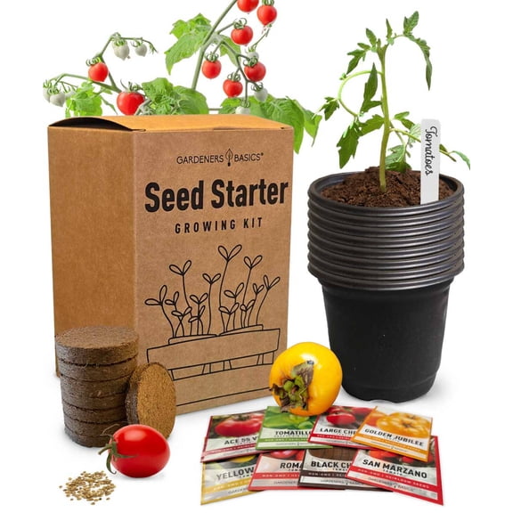 Tomato Seed Starter Kit
