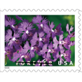 thumbnail image 3 of Wild Orchids Strip of 20 USPS First Class Forever Postage Stamps Flower Birthday Anniversary Wedding Celebration (20 Stamps), 3 of 5