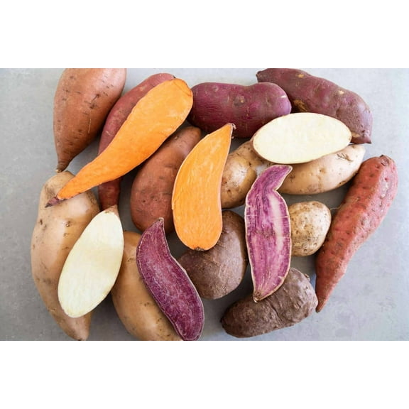 Pack 10 Sweet Potato Cuttings, 3-5 Inch, Well Rooted Live Plants for Outdoor Gardening