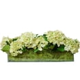 thumbnail image 2 of TC Floral Company Fresh Cut Hydrangea in Rectangular Glass, 2 of 2