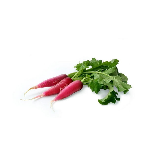 SEEDS = 100 Red Arrow Radish Seeds- Non GMO- Spicy Flavor- Grow as Root or Sprouts -Microgreen -Tasty Gourmet Garden Vegetable -Natural NON GMO