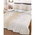 thumbnail image 2 of Beige Summer Quilt Set Twin Size,Soft Quilted Bedding Set with 2 Pillow Shams,Retro Oil Painting Modern Abstract Art Aesthetics Lightweight All Season Bedspread Coverlet for Bedroom 68"x86", 2 of 6