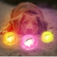 thumbnail image 2 of LaRoo LED Dog Balls Rechargeable,Light up Dog Ball Glow in The Dark,Teeth-Cleaning Natural Rubber,Interactive Dog Toys for Small & Medium Dogs,2.5 inches(Purple), 2 of 5