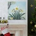 thumbnail image 6 of Daffodils In Neoclassicism - Canvas, 6 of 10