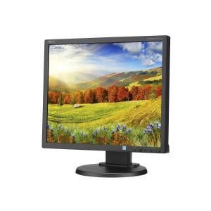 NEC MultiSync EA193MI-BK 19-Inch Screen LED-lit Monitor