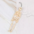 thumbnail image 1 of Jouet d'Halloween 1 Pce 20Cm Squelette Humain Réaliste Jouet Amusant pour Enfants Cadeau, 1 of 6