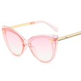 thumbnail image 1 of Unisex Square Classic Cat Eye Sunglasses Cateye Sunglasses Y1092, 1 of 4