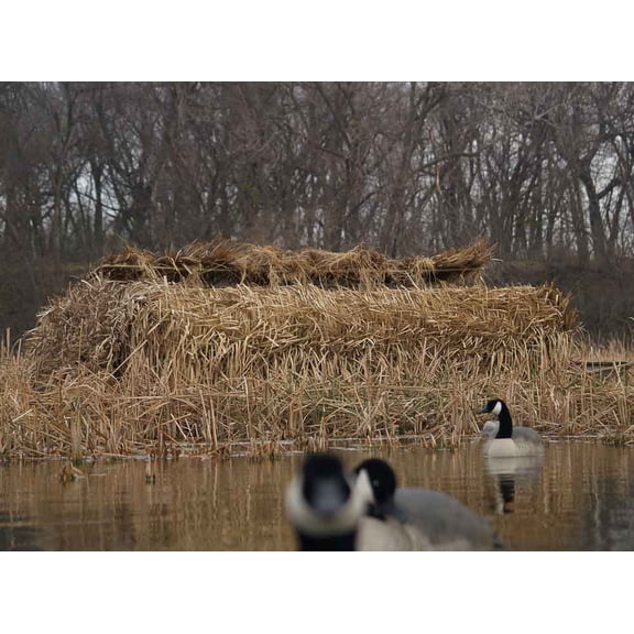 Avery/GHG RealGrass, Natural - Pack of 4