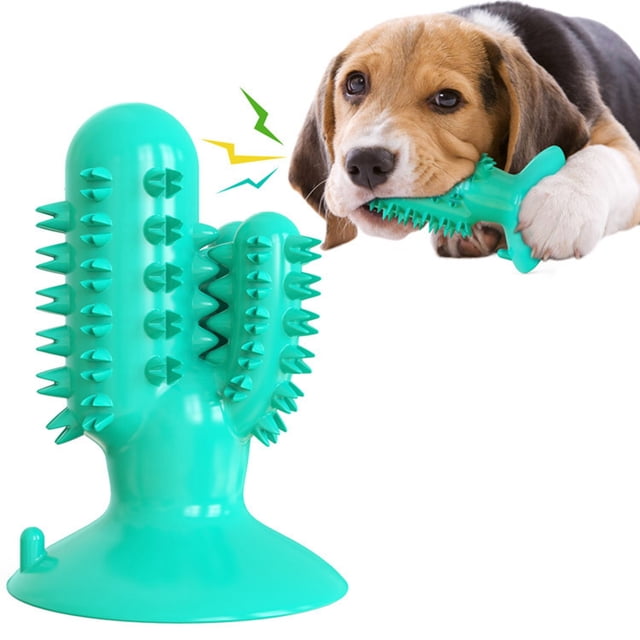 Dog Toothbrush Toy Bite Resistant Cactus Dog Teeth Cleaning Toy Puppy Chew Toy