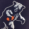 thumbnail image 3 of Winning Streak Sports 44007 Chicago Bears Heritage Banner, 3 of 4