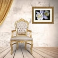 thumbnail image 3 of Putman, Tammy 18x13 Gold Ornate Wood Framed with Double Matting Museum Art Print Titled - Purple Columbine I, 3 of 4