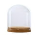 thumbnail image 2 of Pantal De Cristal Cubierta De Campana Jar Pntas Suculentas Terrarios Con Corcho De Para perfecl Recipiente para terrario con base, 2 of 8