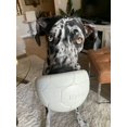 thumbnail image 2 of Pelota masticable para perro diseño Soccer, 2 of 9