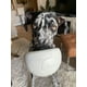 thumbnail image 2 of Pelota masticable para perro diseño Soccer, 2 of 9