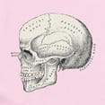 thumbnail image 2 of CafePress - Skull Anatomy Infant Bodysuit - Baby Light Bodysuit, Size Newborn - 24 Months, 2 of 4