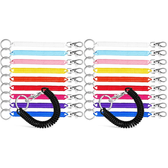 HOMEMAXS 20 Pcs Spring Coil Keychain Keyring Key Chain Cord Stretchy Keychain Wrist Coil Key Chain Retractable Keychain