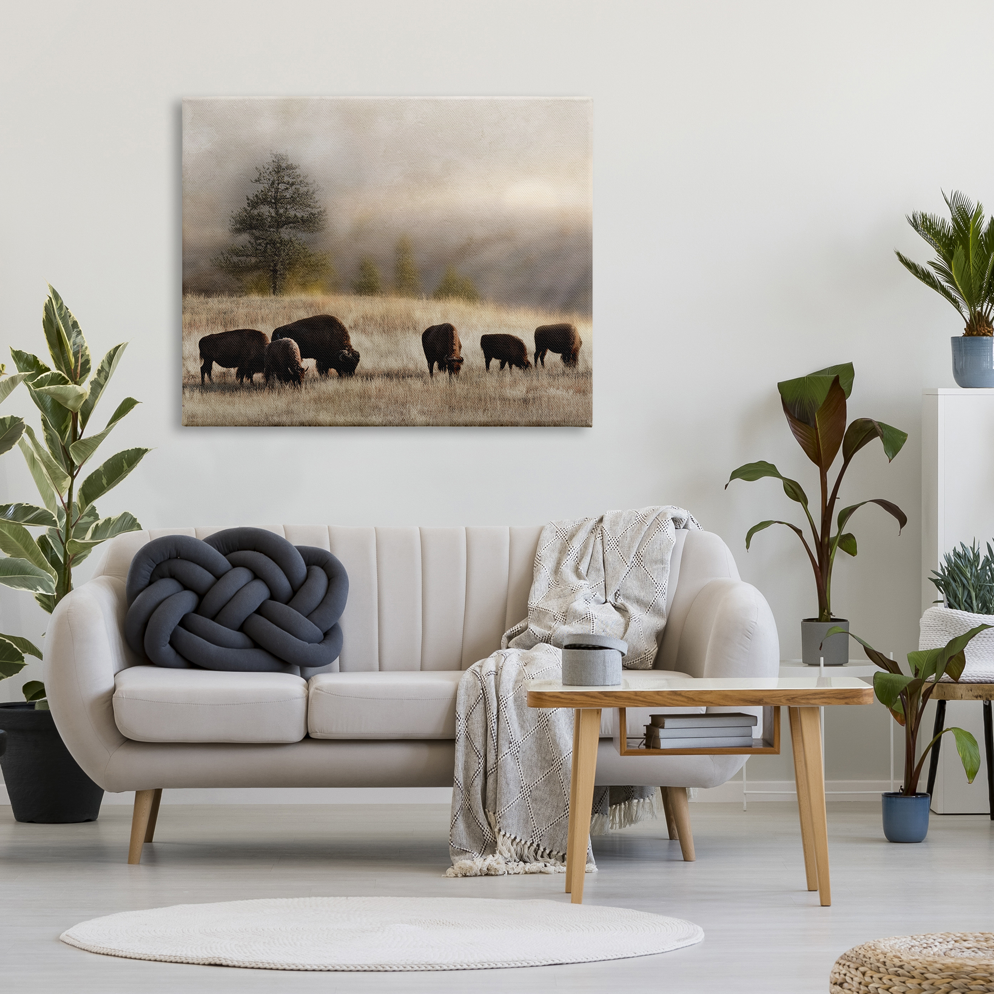 Stupell Industries Grazing Bison Rural Grassland Meadow Panoramic Scene Photograph Gallery Wrapped Canvas Print Wall Art, Design by Danita Delimont