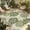 Olive Green, Sage Green, variant on Outdoor Rug for Patio 4'x6',Watercolor Sage Green Flowers Non-Slip Area Rugs Washable Carpet Indoor Rug,Minimalist Floral Art Non-shedding Floor Mats for Porch Living Room Deck