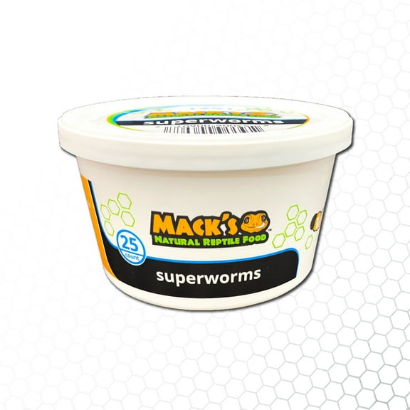 Mack's Natural Reptile Food 1 x Cup of 25 Large Superworms