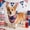 D, variant on Pet Bandana with Star Stripe Print, 4th of July Patriotic Decor, Independence Day Party Photo Accessory for Puppy Kitty Pet Triangle Bib