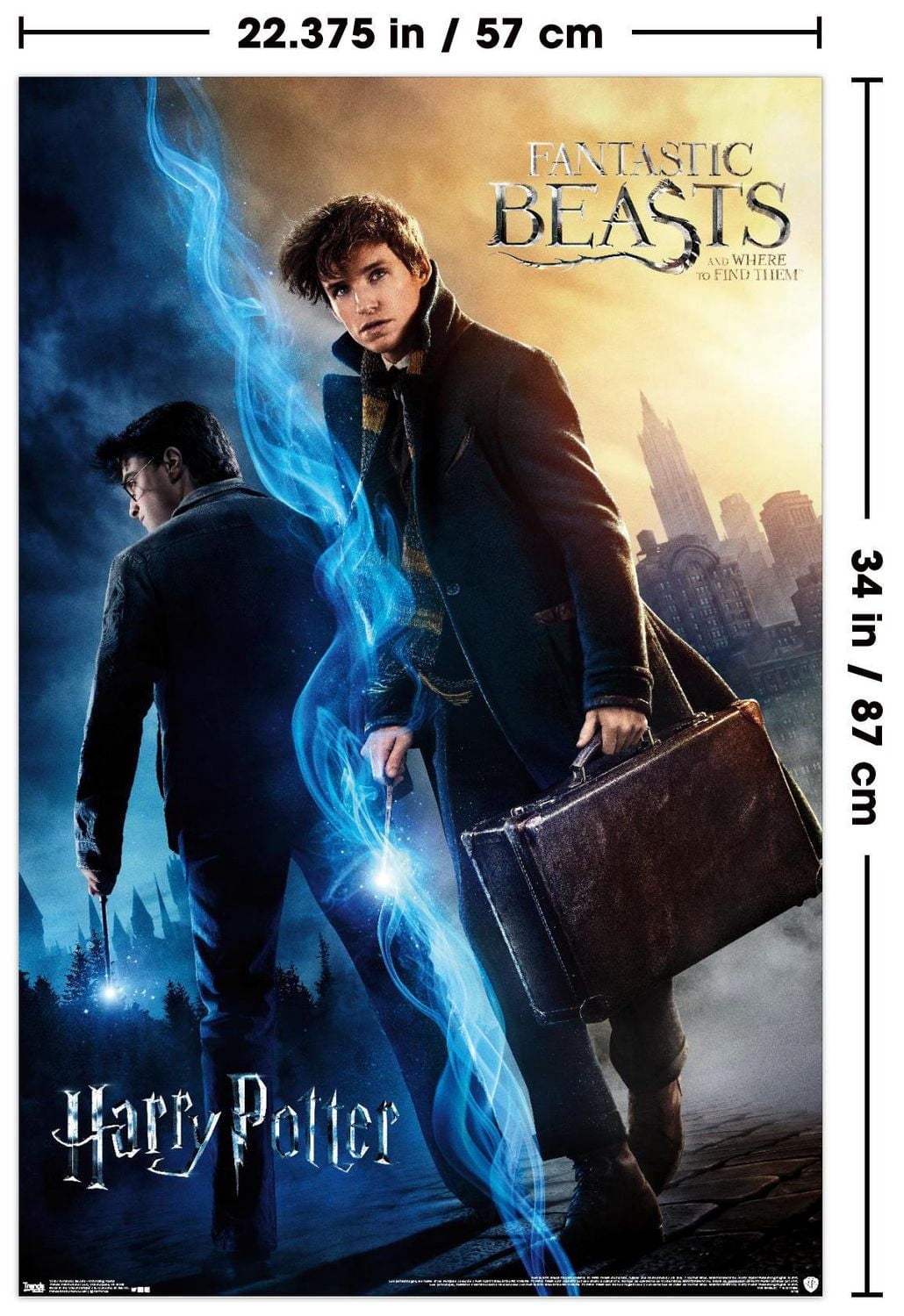 The Wizarding World: Harry Potter and Fantastic Beasts Wall Poster, 22.375" x 34"