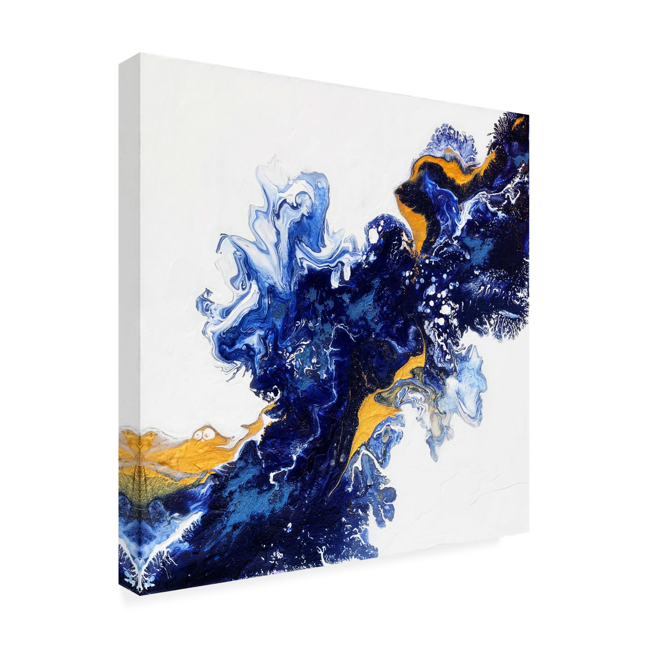 Trademark Fine Art Alyson Storms The Inner Well Canvas Wall Art