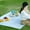 Picnic blankets A, variant on VOTRUDI Outdoor Picnic Blankets Mat - Disposable Moisture-Proof Waterproof Portable Blanket for Camping Beach and Lawn Events,59x79in,White