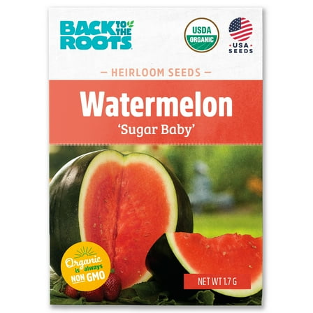 Back to the Roots Organic Sugar Baby Watermelon Fruit Seeds, 1 Seed Packet