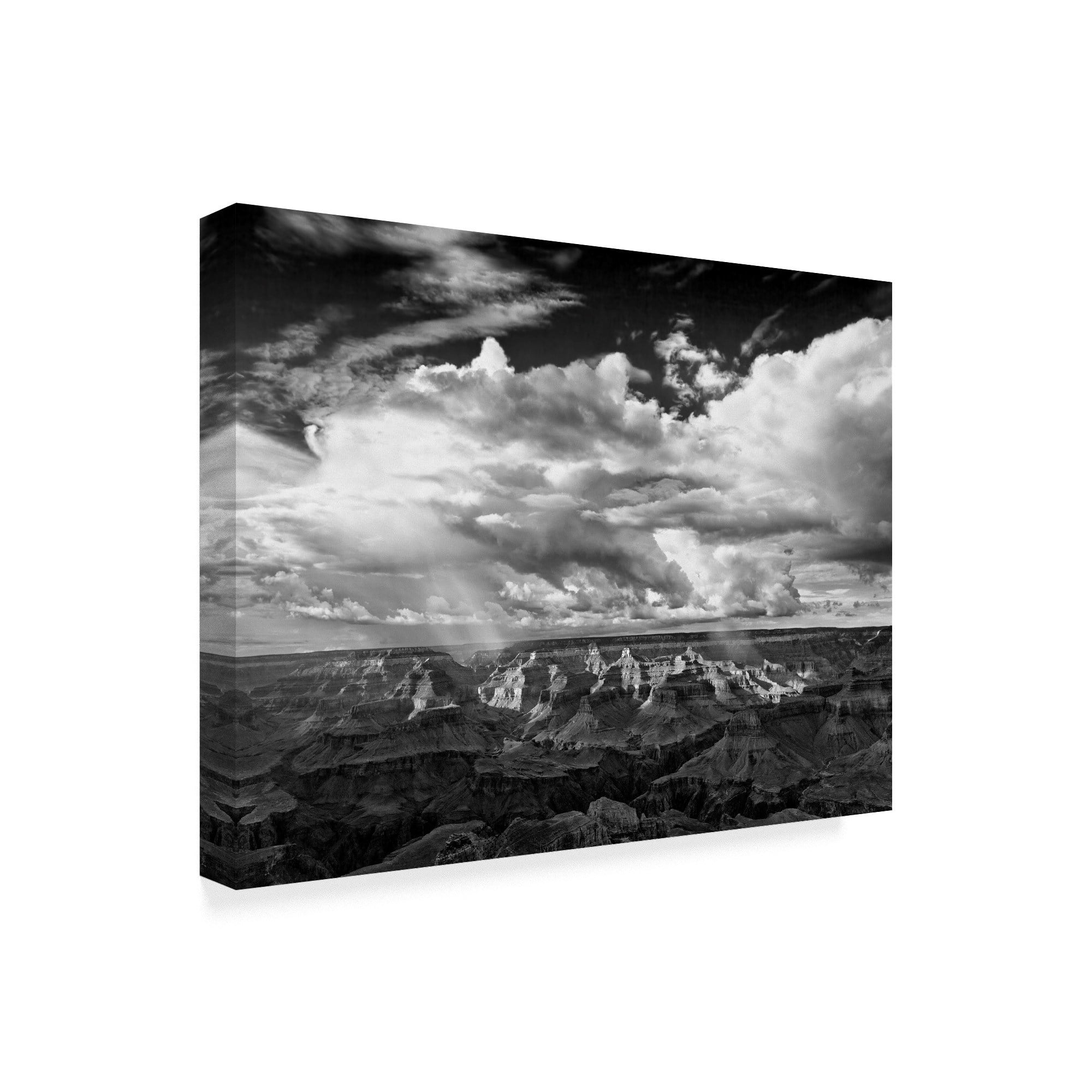 Trademark Fine Art 'Black And White Desert View IV' Canvas Art by David Drost