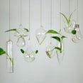 thumbnail image 3 of Douhoow Home Planters Clear Glass Flower Plant Stand Hanging Vase Ball Terrarium Container, 3 of 4