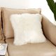 thumbnail image 1 of Funda de almohada decorativa suave 45 x 45 cm, funda de almohada decorativa de pelo largo, funda de almohada decorativa de piel sintética para sofá, funda de almohada de piel sintética Ofspeizc LN-2062-2, 1 of 6